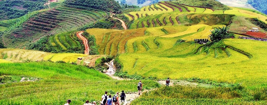 Lào Cai khai thác 4 tuyến du lịch 