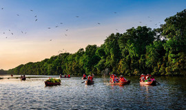 Large image xuong ba la xem chim
