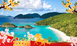 Large image anh minh hoa tet