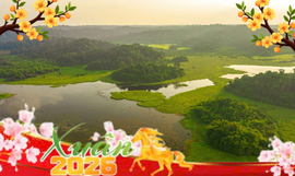 Large image anh minh hoa tet