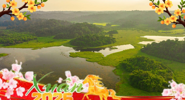 Larger image anh minh hoa tet